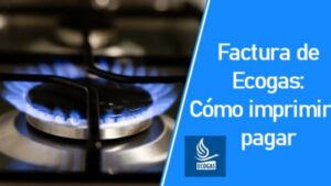 Ecogas