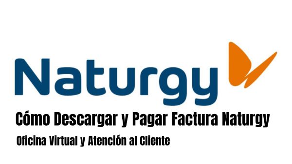 Naturgy Factura