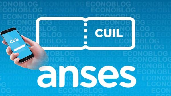 cuil anses
