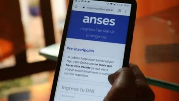 mi anses ingreso