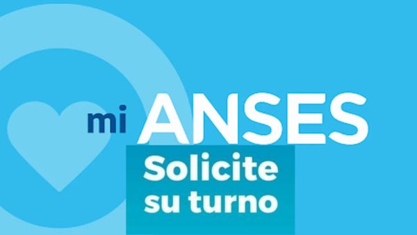 Tipos de Trámites que Requieren Turno en ANSES