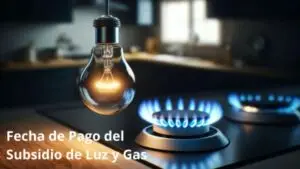 fecha de pago del subsidio de luz y gas